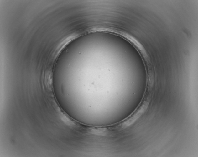 X0000115220809200911121923