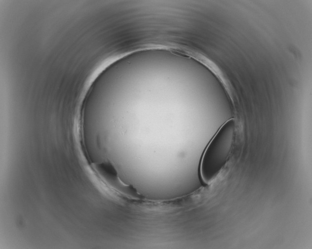 X0000115220811200911121923