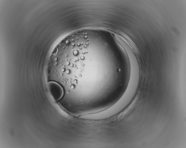 X0000115220812200911121923