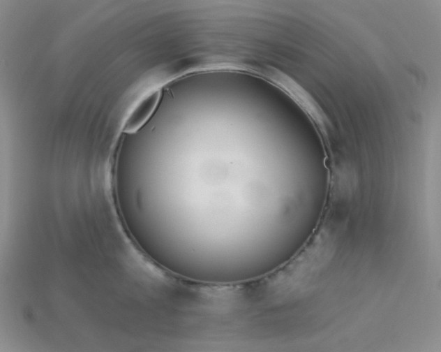 X0000115220813200911121923