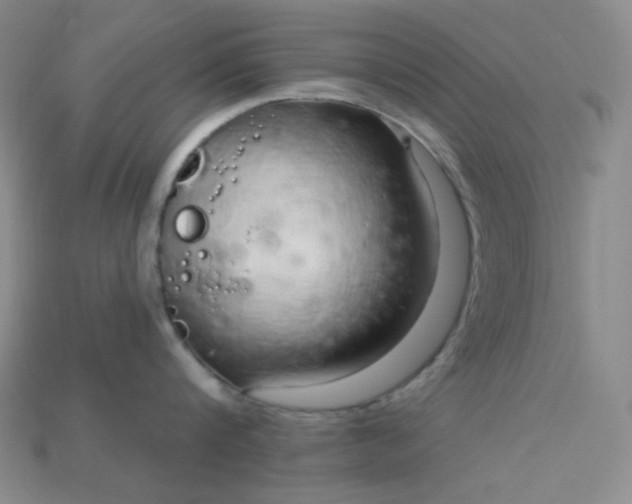 X0000115220816200911121923