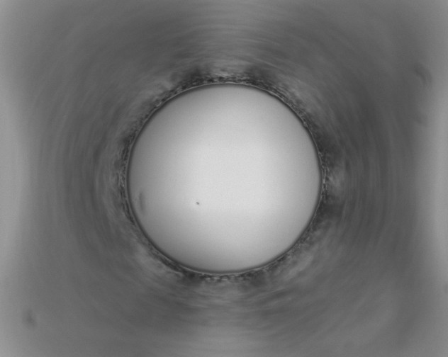 X0000115220817200911121923