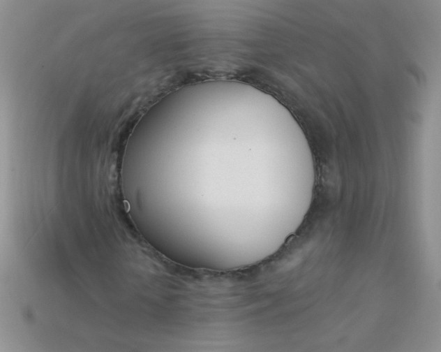 X0000115220818200911121923