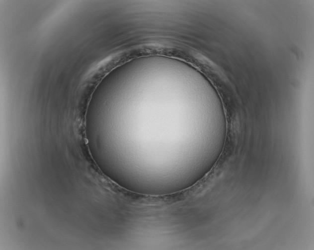 X0000115220822200911121923
