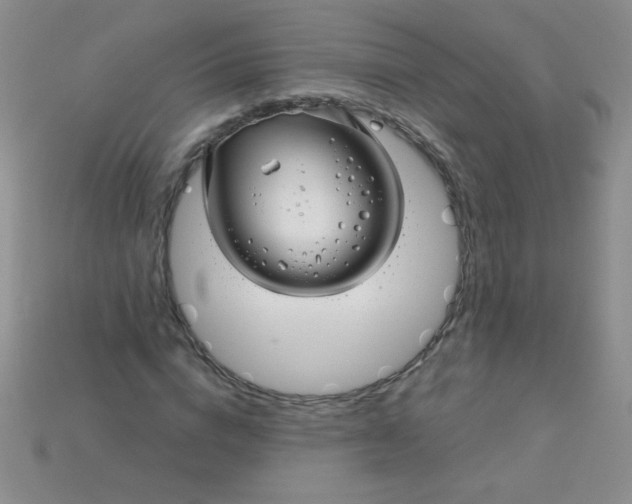 X0000115220824200911121923