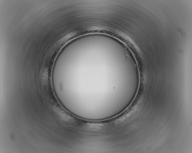 X0000115220825200911121923