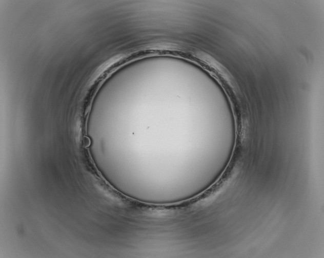 X0000115220829200911121923