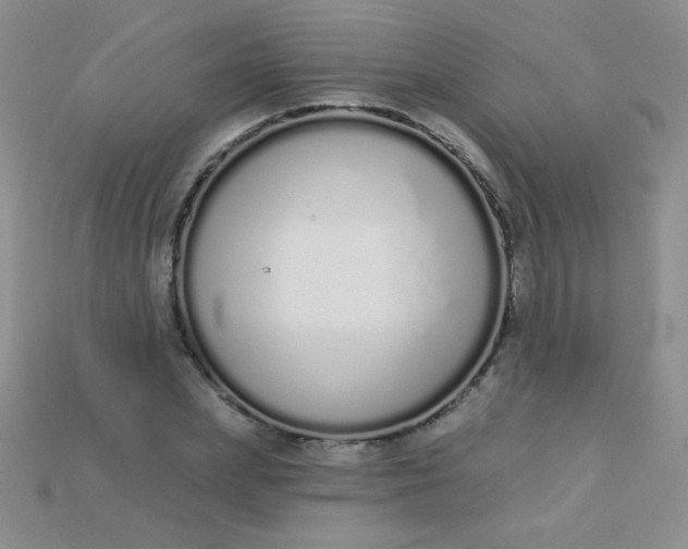X0000115220831200911121923