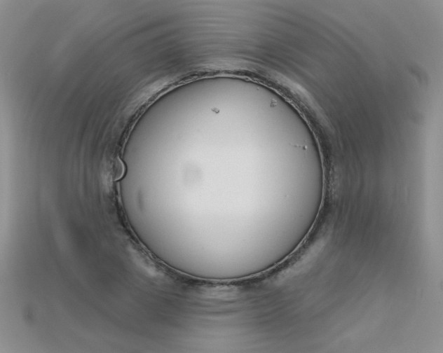 X0000115220833200911121923