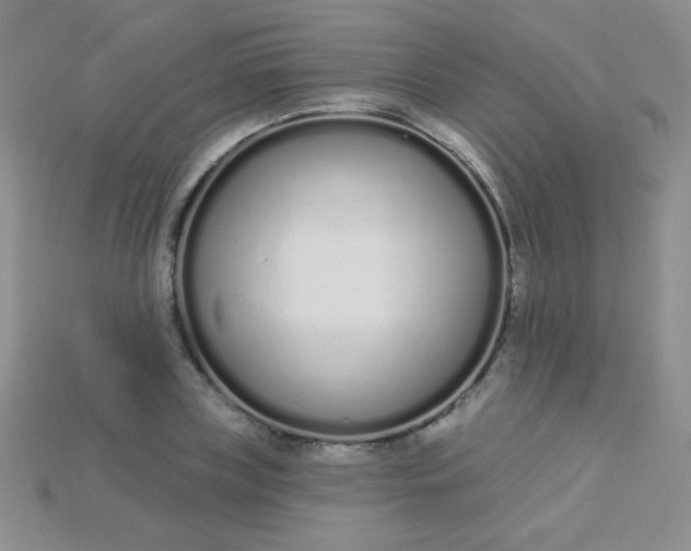 X0000115220835200911121923