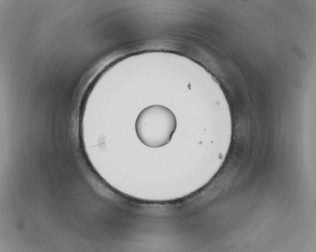 X0000115220836200911121923