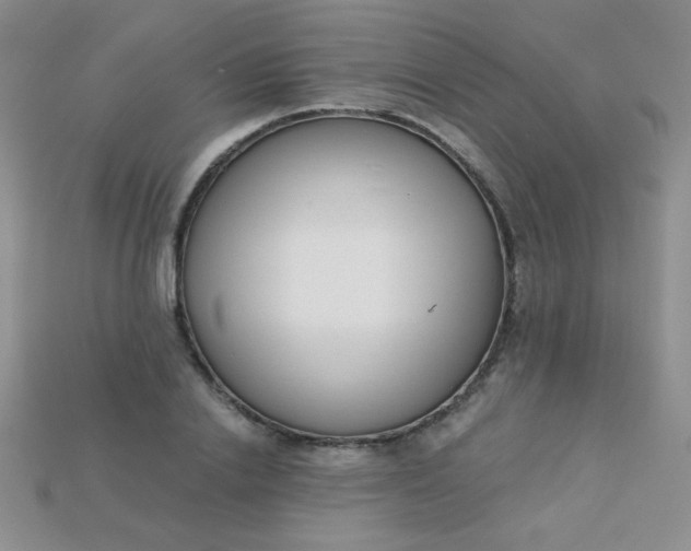 X0000115220838200911121923