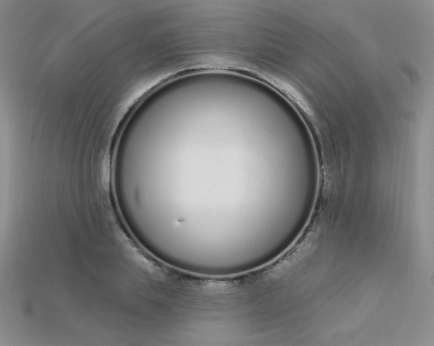 X0000115220839200911121923