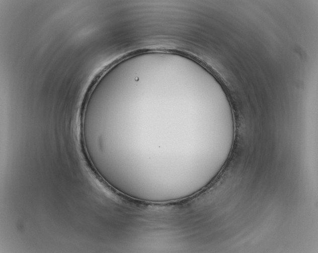 X0000115220840200911121923
