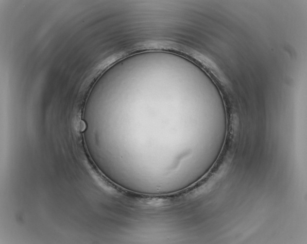 X0000115220841200911121923