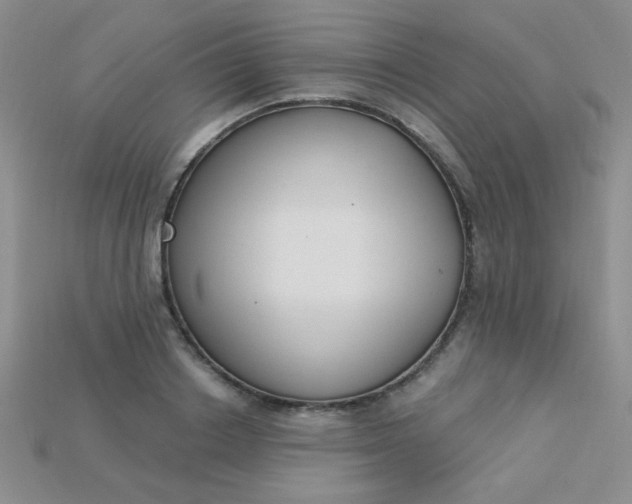 X0000115220842200911121923