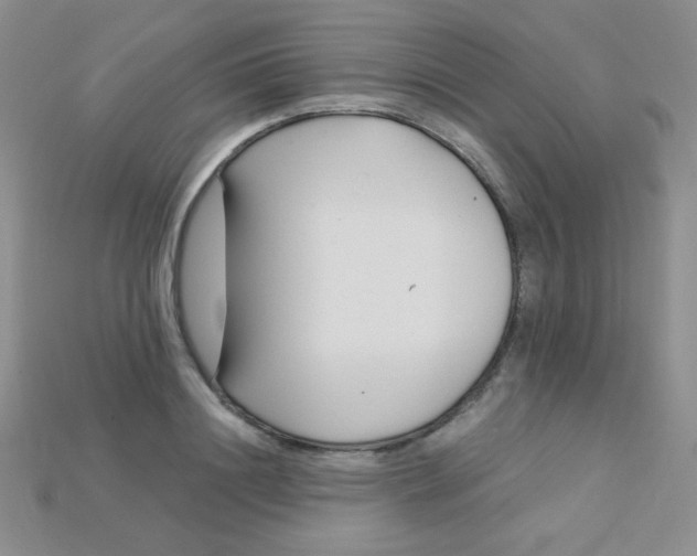 X0000115220844200911121923