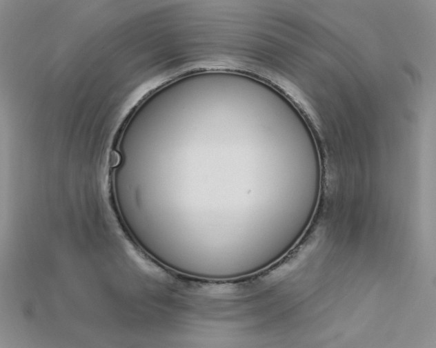 X0000115220845200911121923