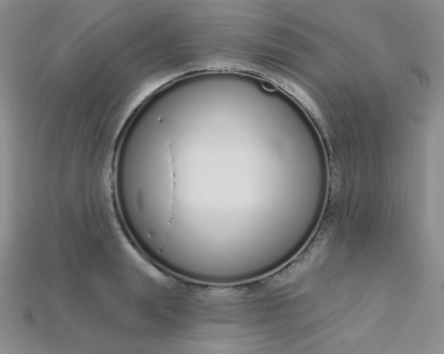 X0000115220847200911121923