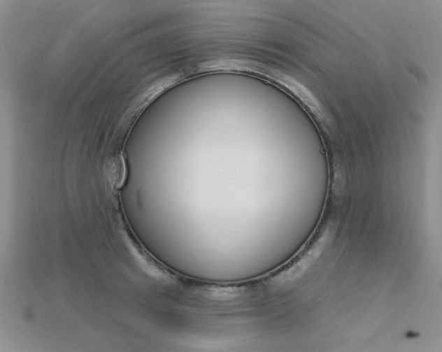 X0000115220849200911121923