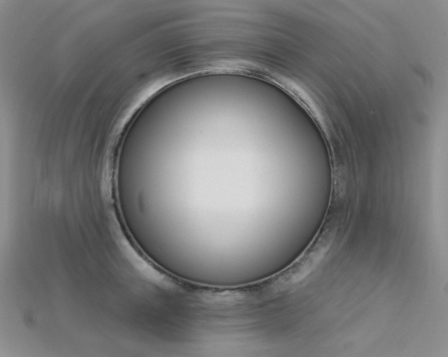 X0000115220851200911121923