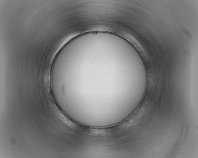 X0000115220852200911121923