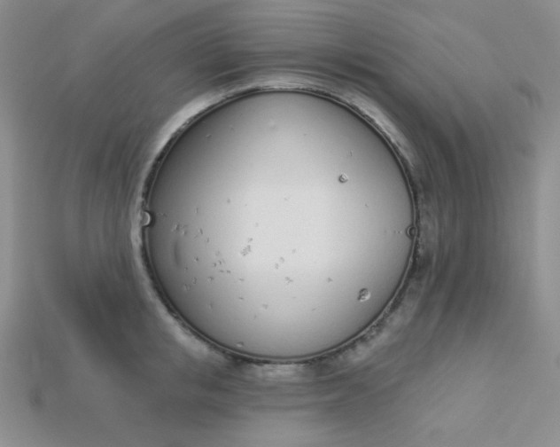 X0000115220853200911121923