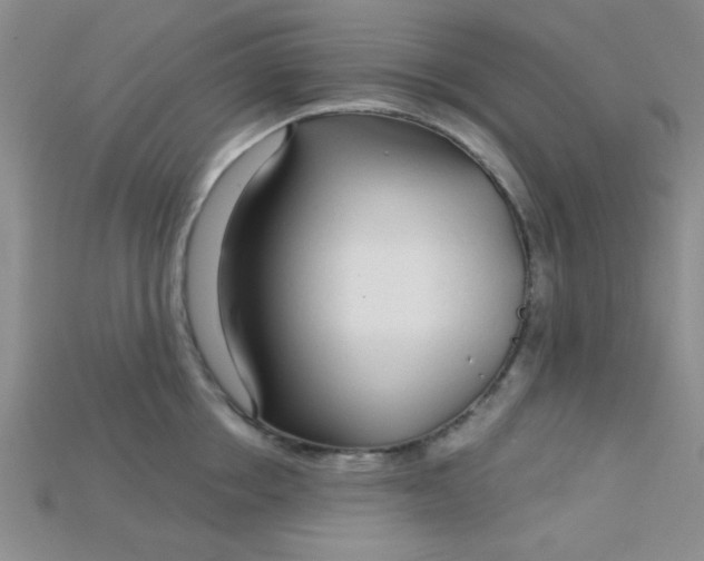 X0000115220858200911121923