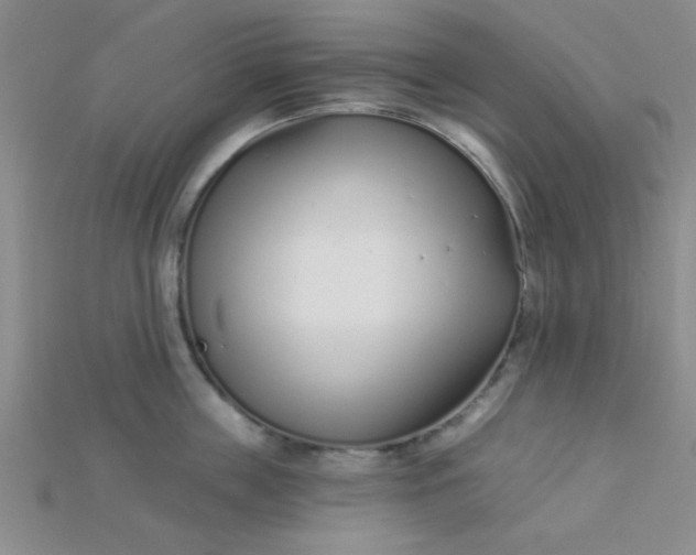 X0000115220859200911121923