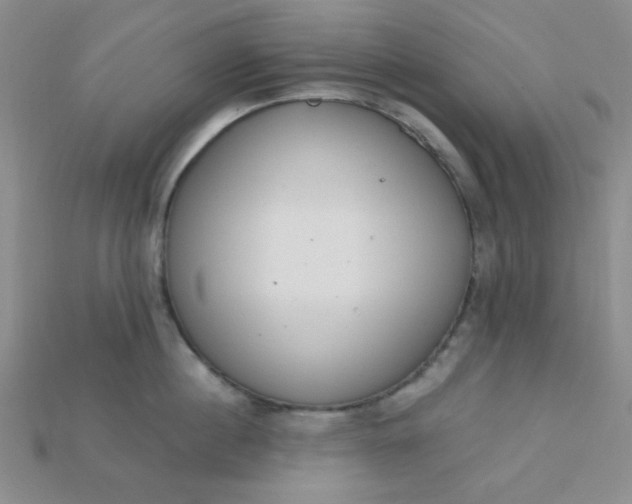 X0000115220860200911121923