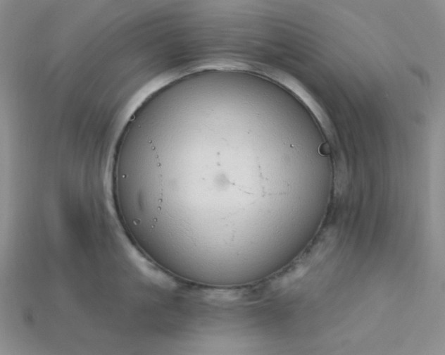 X0000115220861200911121923