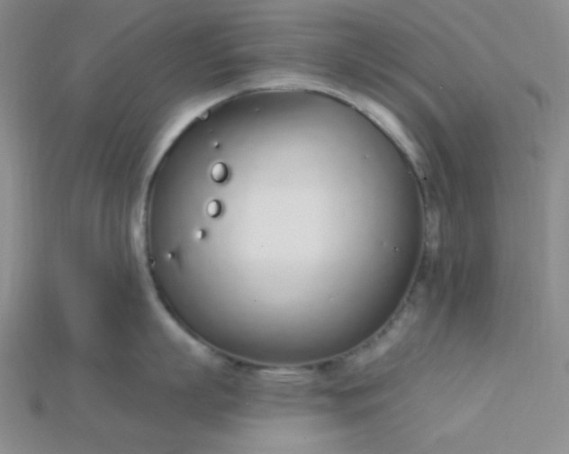 X0000115220863200911121923