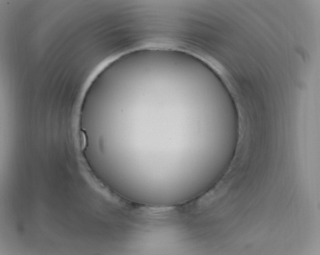 X0000115220864200911121923