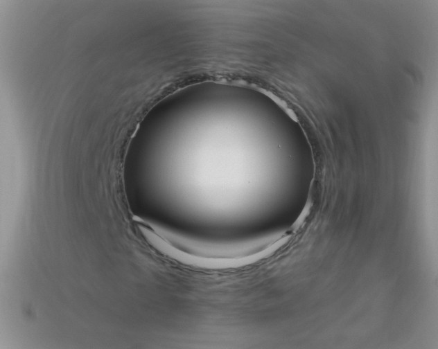 X0000115220865200911121923