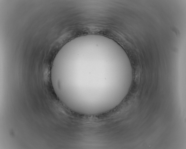 X0000115220866200911121923
