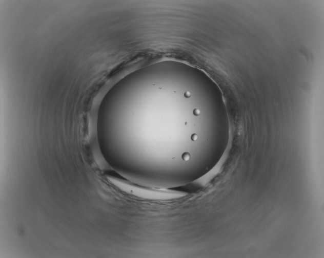 X0000115220868200911121923