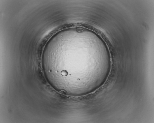 X0000115220871200911121922
