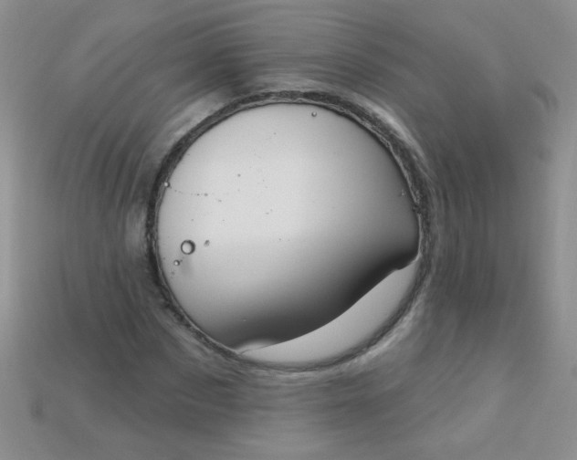 X0000115220873200911121922