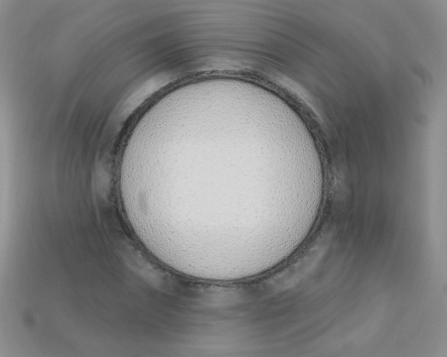 X0000115220874200911121922
