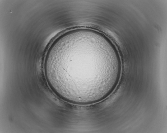 X0000115220875200911121922