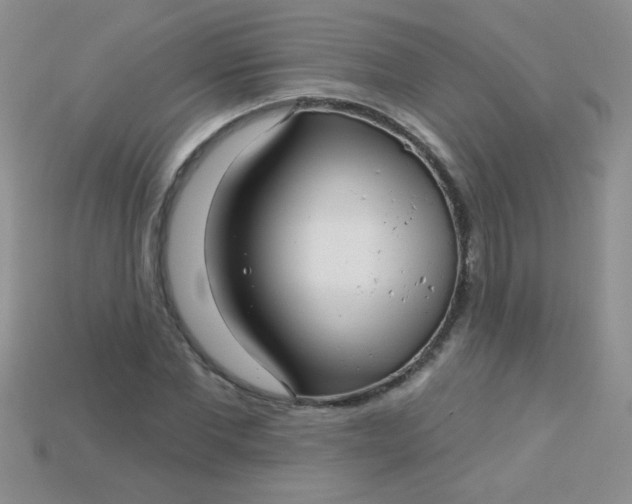 X0000115220877200911121922