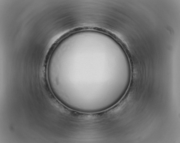 X0000115220879200911121922