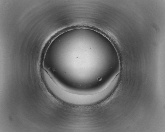X0000115220880200911121922