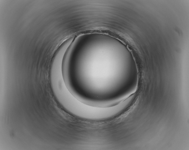X0000115220881200911121922