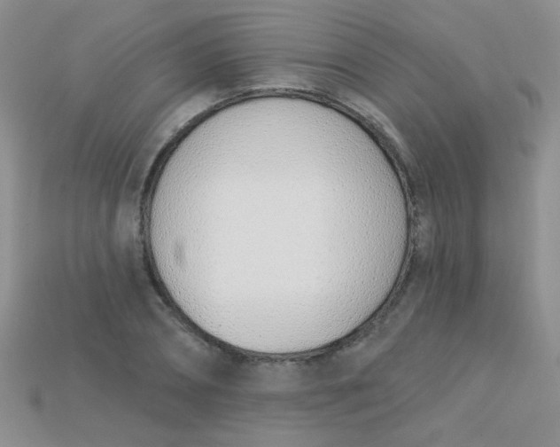X0000115220882200911121922