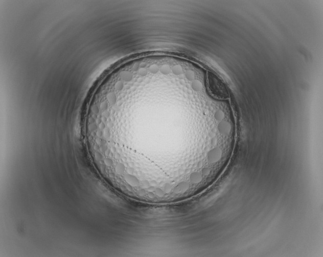 X0000115220883200911121922