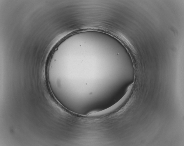 X0000115220884200911121922