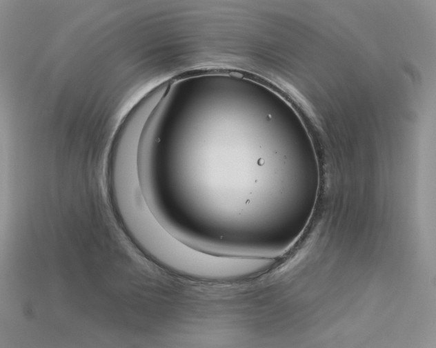X0000115220885200911121922