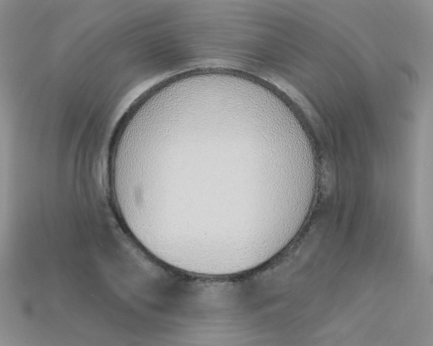 X0000115220886200911121922