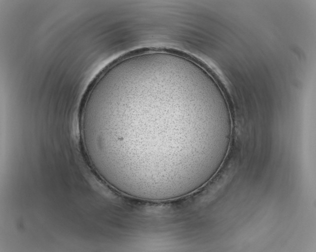 X0000115220887200911121922
